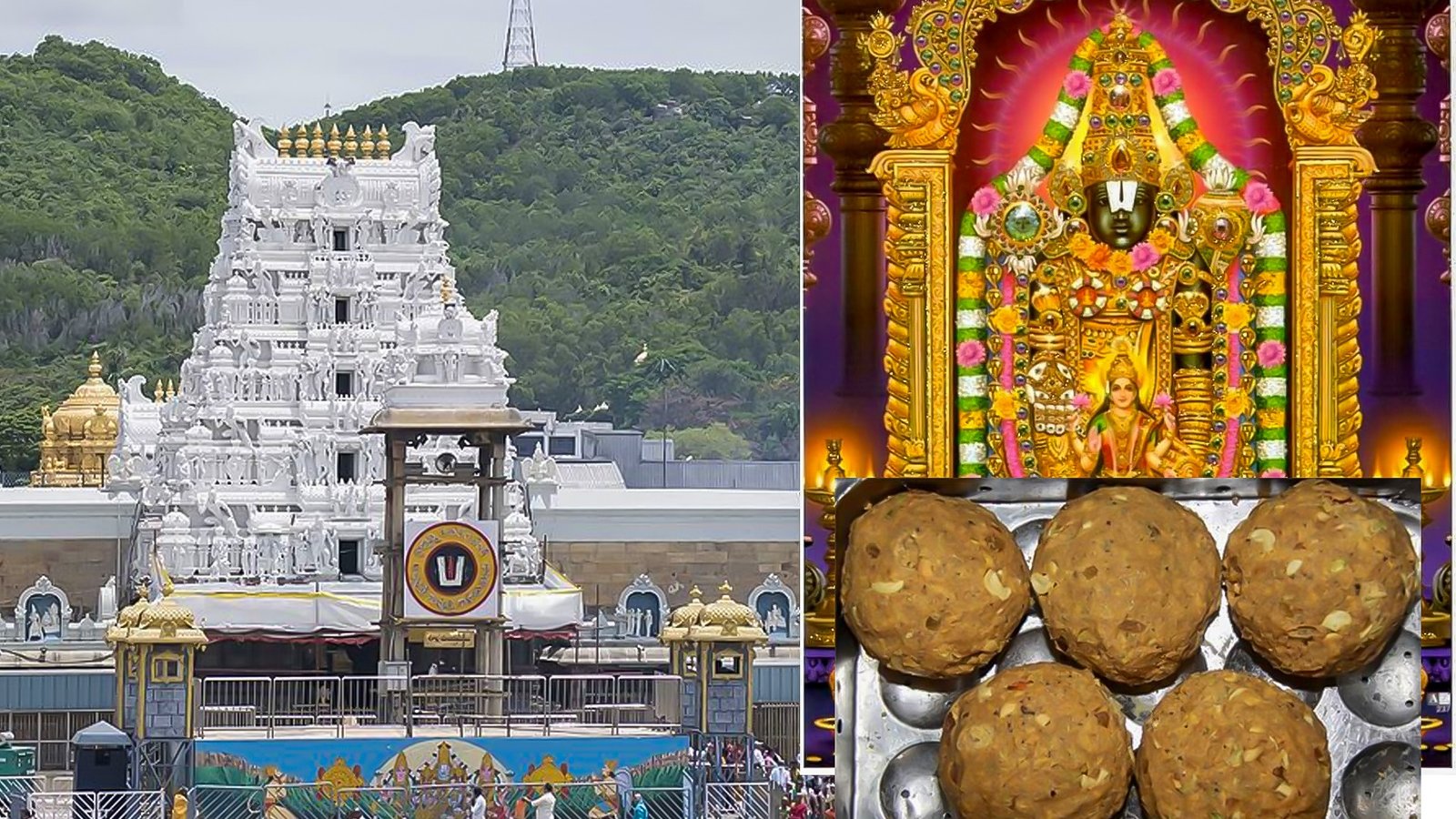 animal fat is used in Tirupati Ladoo